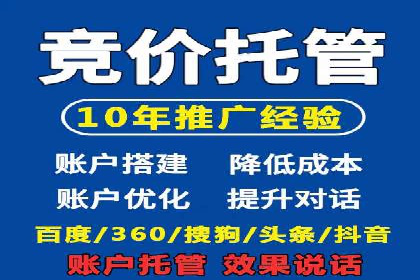 谷歌SEM案例研究：数据分析与效果评估
